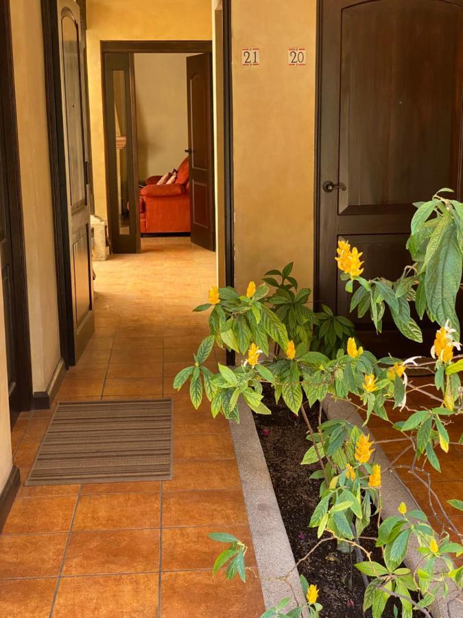 Suite Don Pedro: Hermoso Loft Con Parqueo Gratis! Antigua Ngoại thất bức ảnh