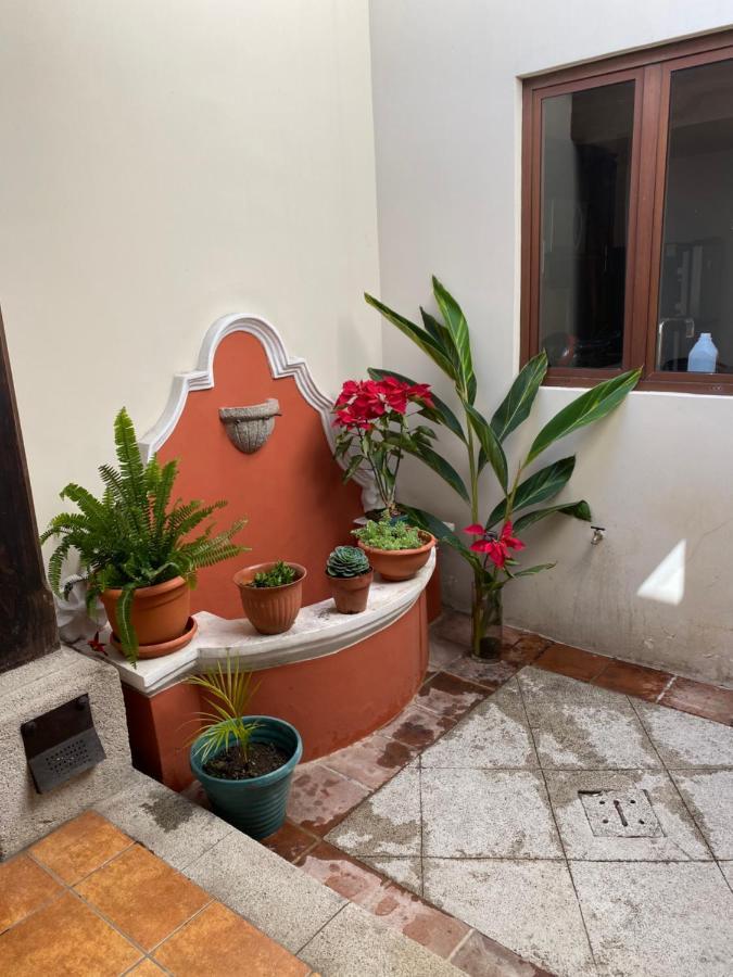 Suite Don Pedro: Hermoso Loft Con Parqueo Gratis! Antigua Ngoại thất bức ảnh